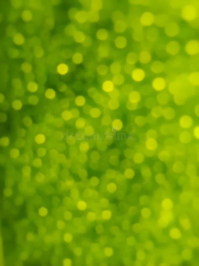 This is a macro photo of a leaf of lime and taken with precise focus also can be used as background image which can be changed. royalty free stock photos