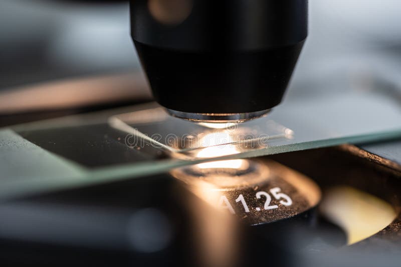 Macro photo of microscope and slide stock photo Macro photo of microscope and slide stock photo