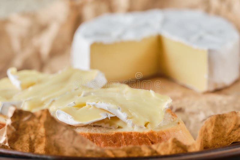 Macro photo of brie cheese stock photo. Image of aromatic 193489966