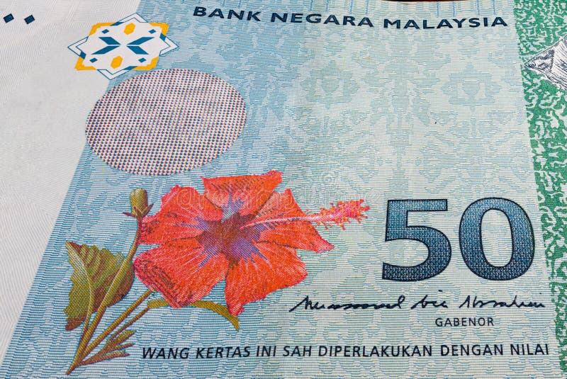 Close Up of the Front Side of a 50 Ringgit Malaysia Banknote Stock Image - Image of front, hibiscus: 186247629