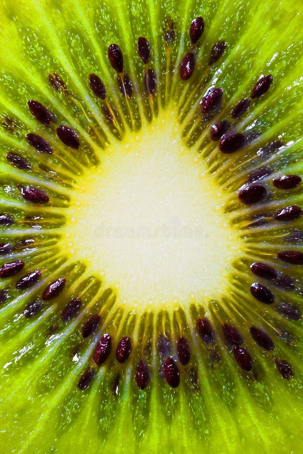 Macro picture of a kiwi