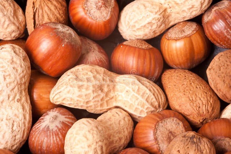 Macro picture of nuts