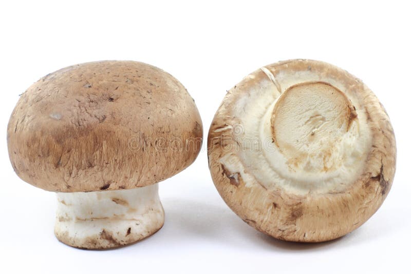 1,904 Cremini Mushroom Stock Photos Free & RoyaltyFree Stock Photos