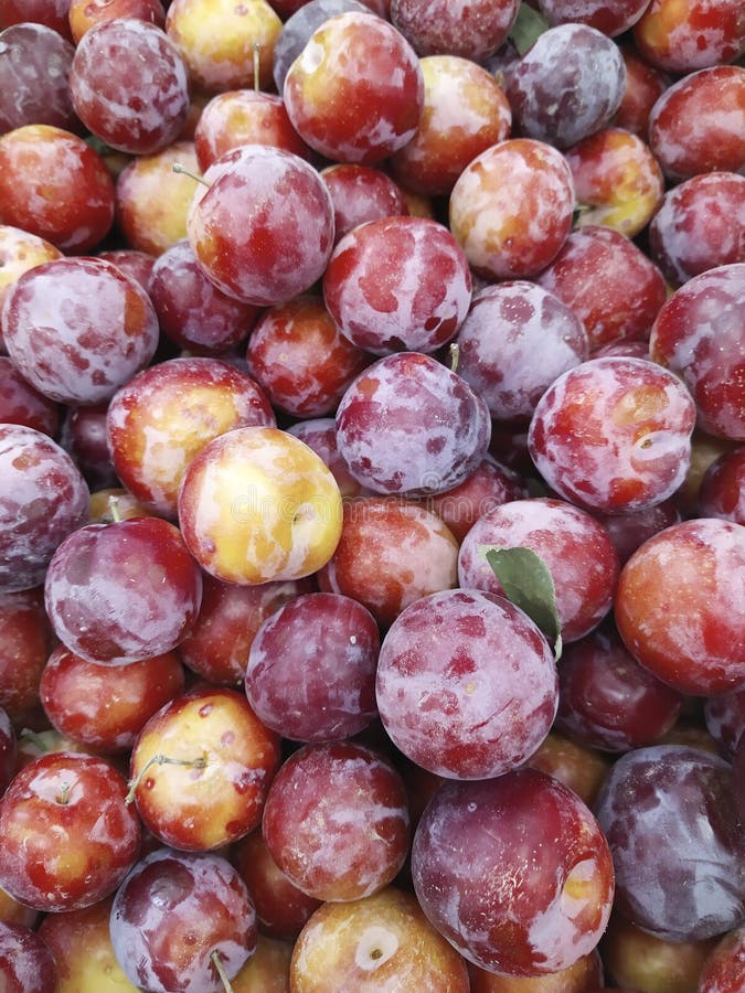 Macro prunes de fruit de nourriture de photo Donnez au fond une consistance rugueuse des prunes bleues fraîches Prunes bleues de photo stock Macro prunes de fruit de nourriture de photo Donnez au fond une consistance rugueuse des prunes bleues fraîches Prunes bleues de photo stock