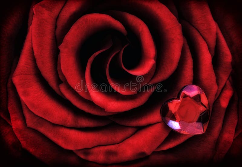 Macro Rose rouge avec Crystal Heart image stock Macro Rose rouge avec Crystal Heart image stock