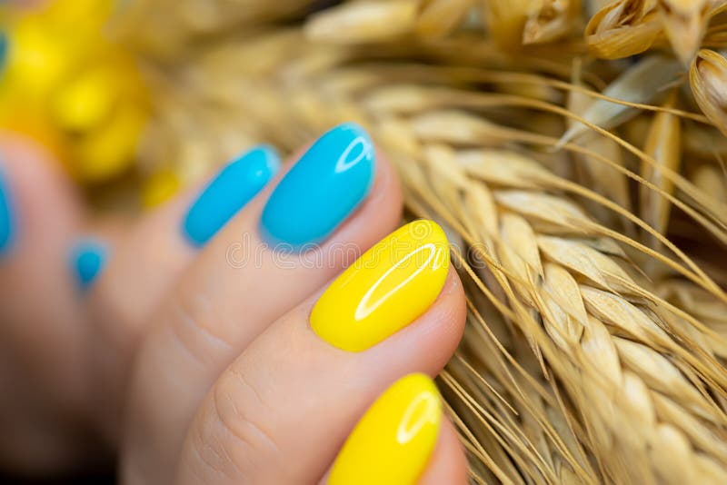 https://thumbs.dreamstime.com/b/macro-shot-blue-yellow-nail-manicure-against-background-ears-wheat-manicure-gel-polish-made-ukrainian-245580699.jpg