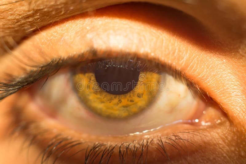 16,819 Eye Pupil Photos - Free & Royalty-Free Stock Photos from Dreamstime