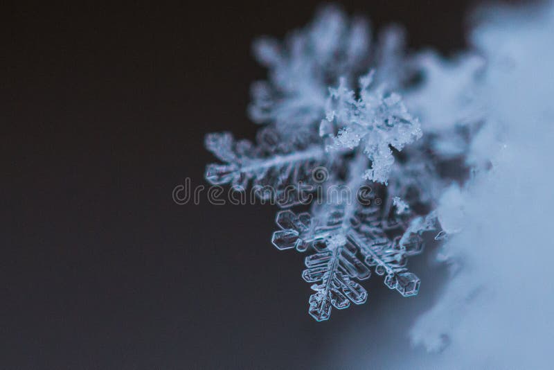 Macro Shot of Snow Flake Crystal