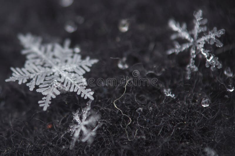 Macro shot from Snowflake royalty free stock photos Macro shot from Snowflake royalty free stock photos