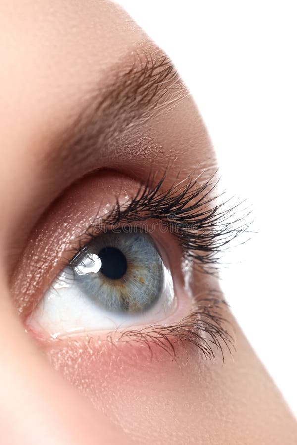 Macro shot of woman's beautiful eye with extremely long eyelashes stock images Macro shot of woman's beautiful eye with extremely long eyelashes stock images