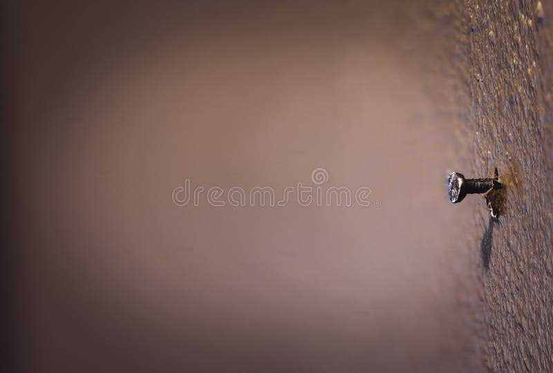 Nail Protruding Stock Photos - Free & Royalty-Free Stock Photos from Dreamstime Nail Protruding Stock Photos - Free & Royalty-Free Stock Photos from Dreamstime