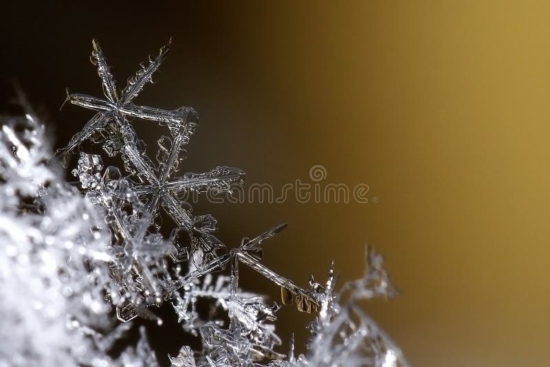 Macro snowflake