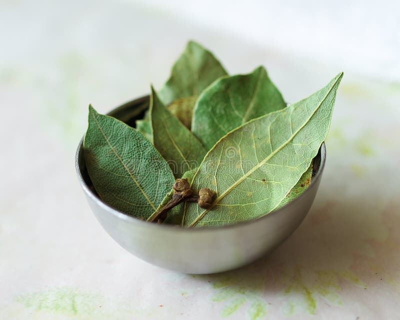 Macro, spice, bay leaves. stock image. Image of gourmet 50890803
