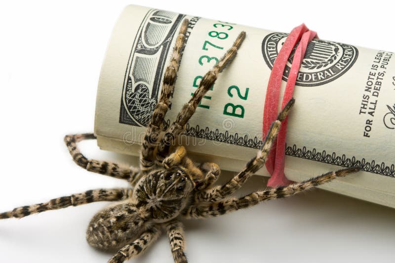 Macro of spider behind dollars roll stock photo