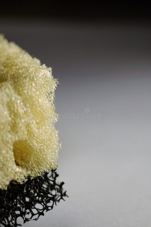 Macro sponge with holes stock image. Image of odor, hole 130600273