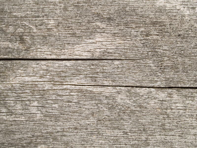 Macro texture - bois - texture image libre de droits Macro texture - bois - texture image libre de droits