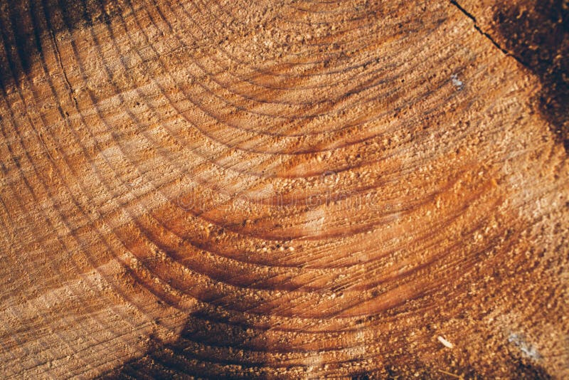 organic background textures