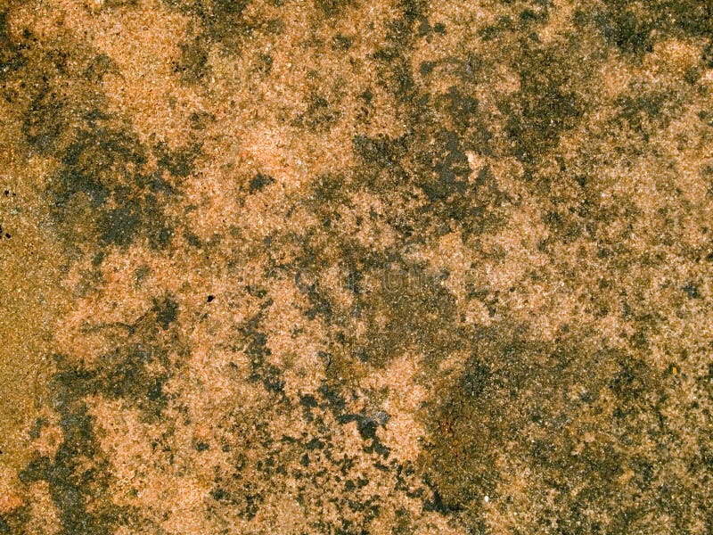 Macro texture - stone - mottled