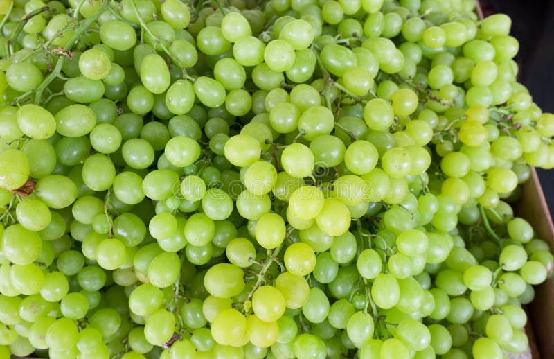 Macro tir des raisins vert-jaunes de nouvelle récolte à vendre