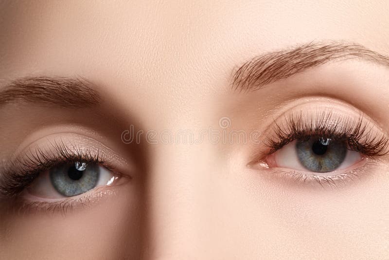 Macro tir du bel oeil de la femme avec les cils extrêmement longs Vue sexy, regard sensuel Oeil femelle avec de longs cils images libres de droits Macro tir du bel oeil de la femme avec les cils extrêmement longs Vue sexy, regard sensuel Oeil femelle avec de longs cils images libres de droits