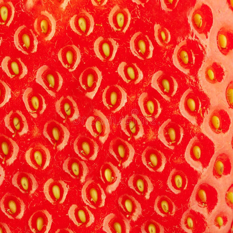Macro voedselinzameling - Aardbei royalty-vrije stock foto Macro voedselinzameling - Aardbei royalty-vrije stock foto