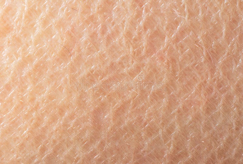 Macrobeeld van haar van de oppervlakte het menselijke huid minder stock foto Macrobeeld van haar van de oppervlakte het menselijke huid minder stock foto