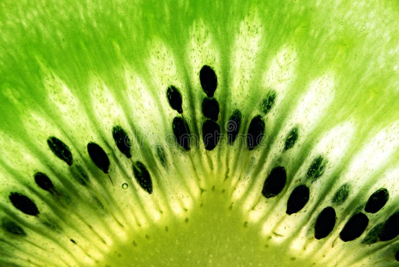 Macrofotografie a fructelor kiwi stock photography