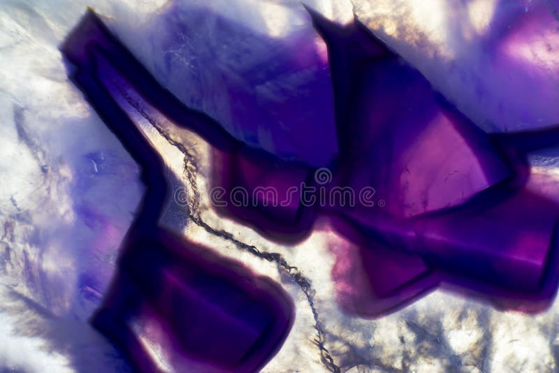 Macrofotografie a unei felii colorate de rocă violet-agitată. stock image