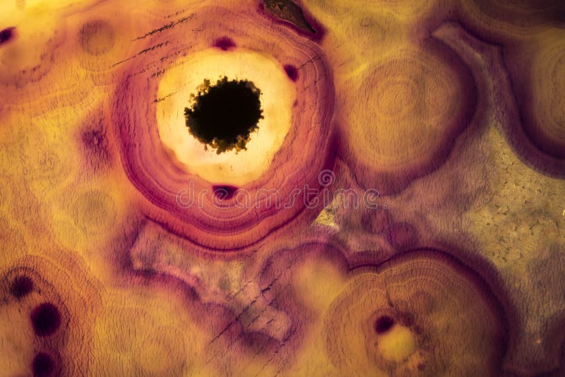 Macrofotografie a unei felii de rocă de agat portocaliu și violet. stock photos