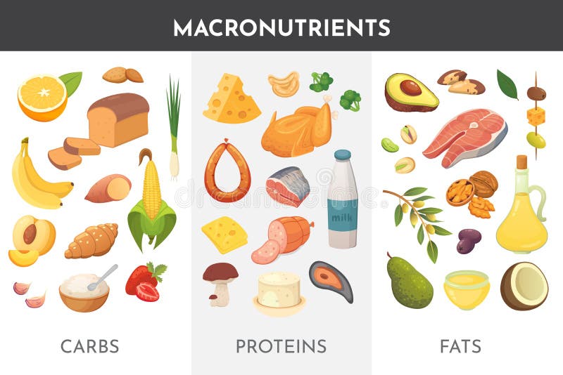 Macronutrientes Carbohidratos Proteinas Y Grasas Images