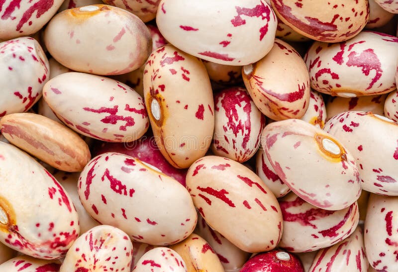 Macrophtography of kidney beans. Directly above, top view royalty free stock image