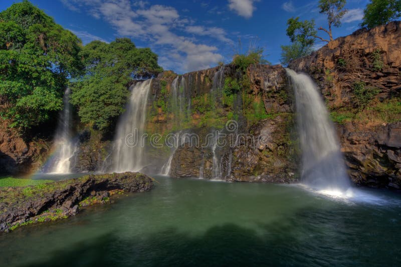 Cascada deslizar lirio, leche Área,,.