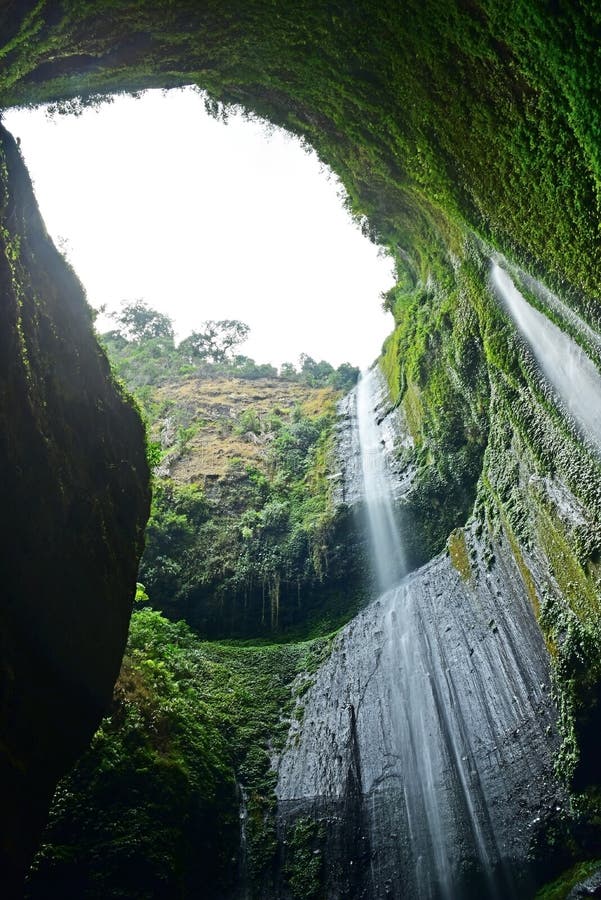 Madakaripura Wasserfall  In Indonesien  Stockbild Bild von 