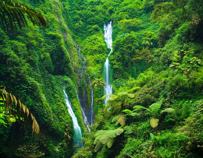 Madakaripura Wasserfall  Osttimor Indonesien  Stockbild 