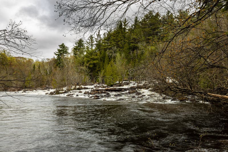 Madawaska River In Algonquin Park Ontario Stock Image Image of