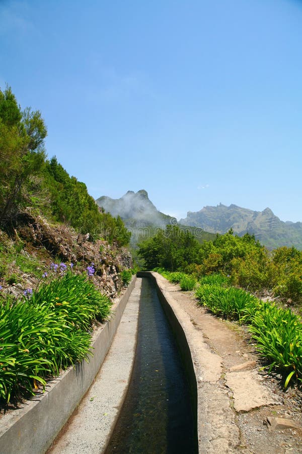 Madeira stockbilder Madeira stockbilder