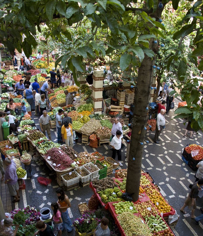 Madeira Central Market in Funchal Editorial Image Image of overhead, island 17019560
