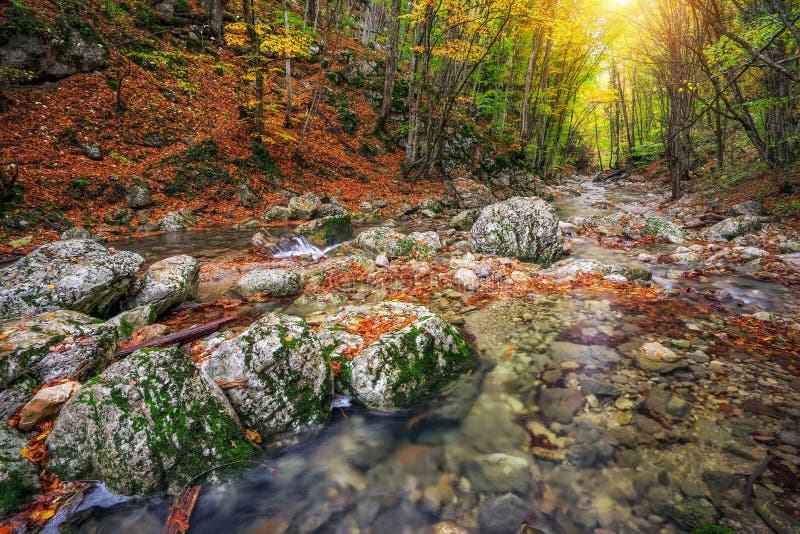 Madeiras da angra do outono com folha e as rochas amarelas das árvores fotografia de stock royalty free