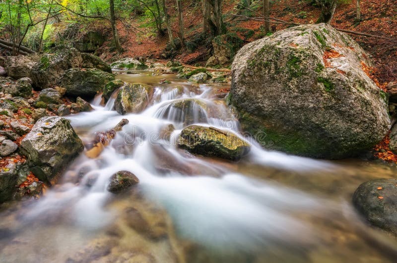 Madeiras da angra do outono com folha e as rochas amarelas das árvores imagem de stock royalty free