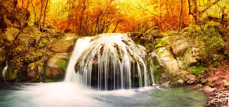 Madeiras da angra do outono com árvores amarelas imagens de stock royalty free