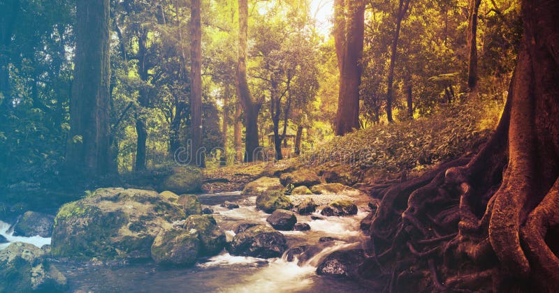 Madeiras da angra do outono com árvores amarelas imagens de stock