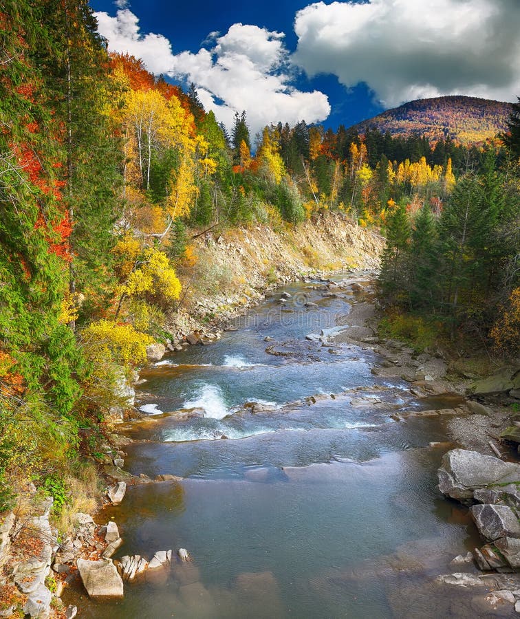 Madeiras e rochas da angra do outono na montanha da floresta foto de stock royalty free