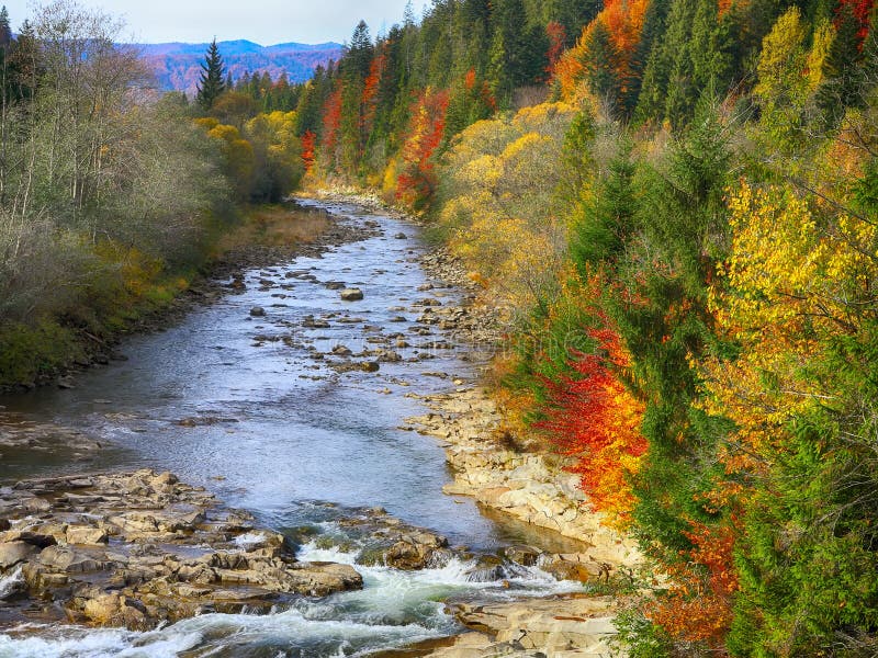 Madeiras e rochas da angra do outono na montanha da floresta foto de stock royalty free
