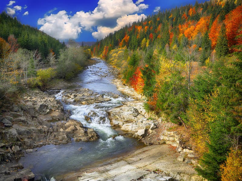 Madeiras e rochas da angra do outono na montanha da floresta imagem de stock royalty free