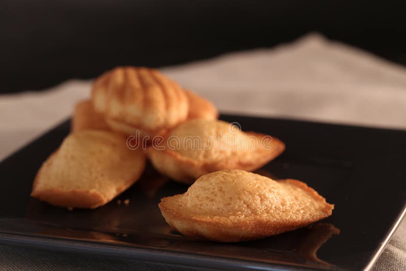 Madeleine french bakstry homemade cookie. Madeleine french destry homemade french shell-formad cookie på ett rustiskt bord