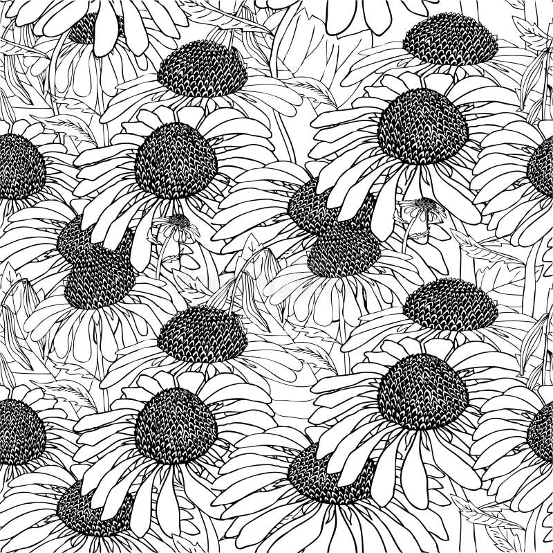 Madeliefjes stock illustratie Madeliefjes stock illustratie