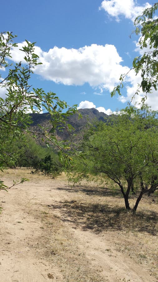 Madera Canyon stock image. Image of mountain, ecoregion 41220417