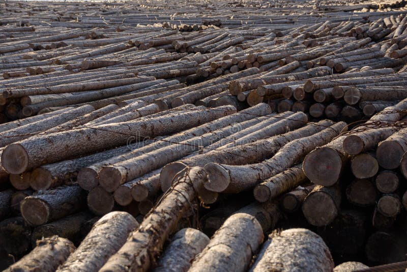 Madera que flota en el río fotos de archivo libres de regalías Madera que flota en el río fotos de archivo libres de regalías