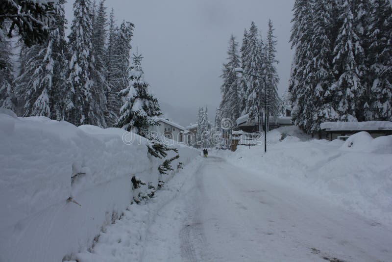 Madesimo, Italy. Winter season. Tree branches, houses roof and the street covered with snow in a very foggy day. Madesimo, Italy. Winter season. Tree branches, houses roof and the street covered with snow in a very foggy day