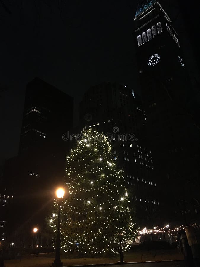 Madison Square Park Durante O Natal E O Ano Novo Em Manhattan, Nova York, NY  Imagem de Stock - Imagem de natal, manhattan: 169235453